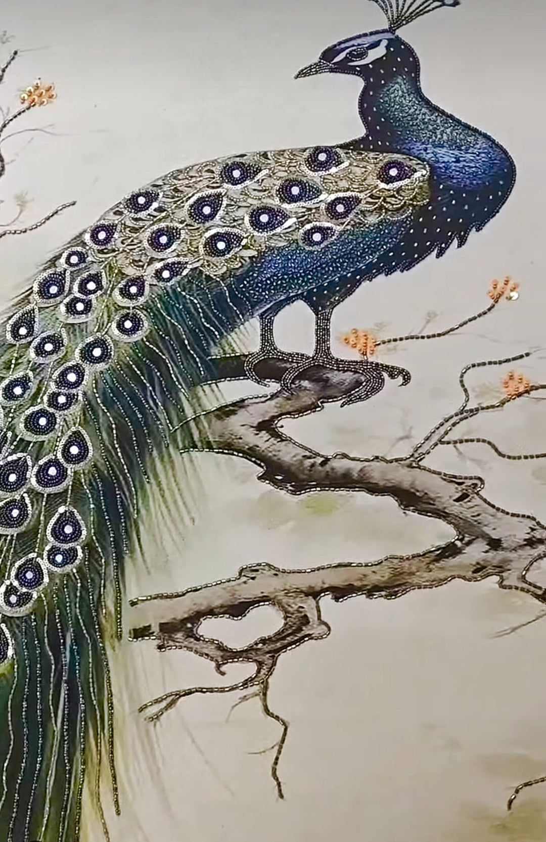 The Peacock's pride