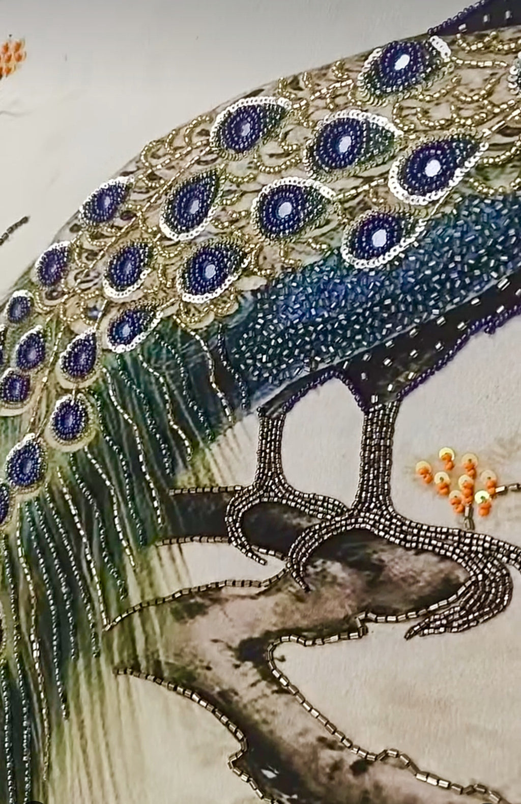 The Peacock's pride