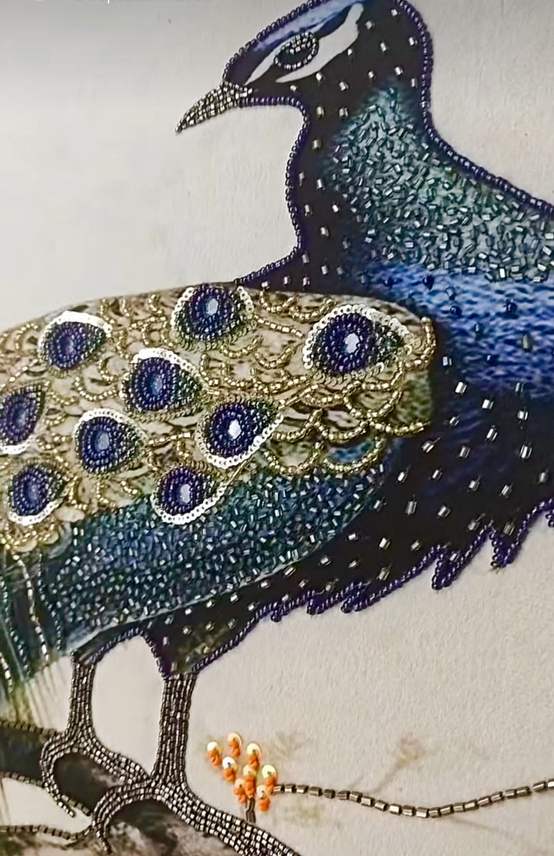 The Peacock's pride